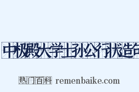 中极殿大学士孙公行状造句是什么意思的图片